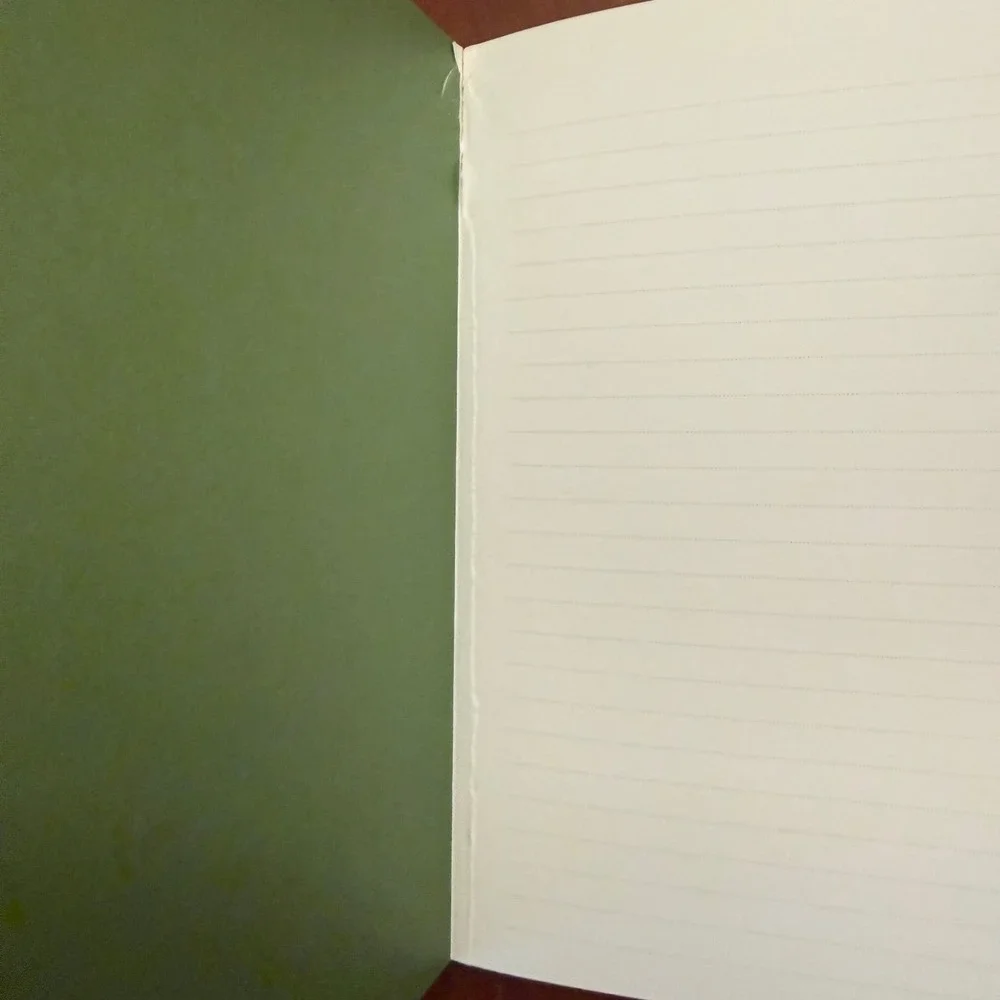 She Had Not Yet Decided Journal, Anne Taintor, notebook‎ blank retro 5x7